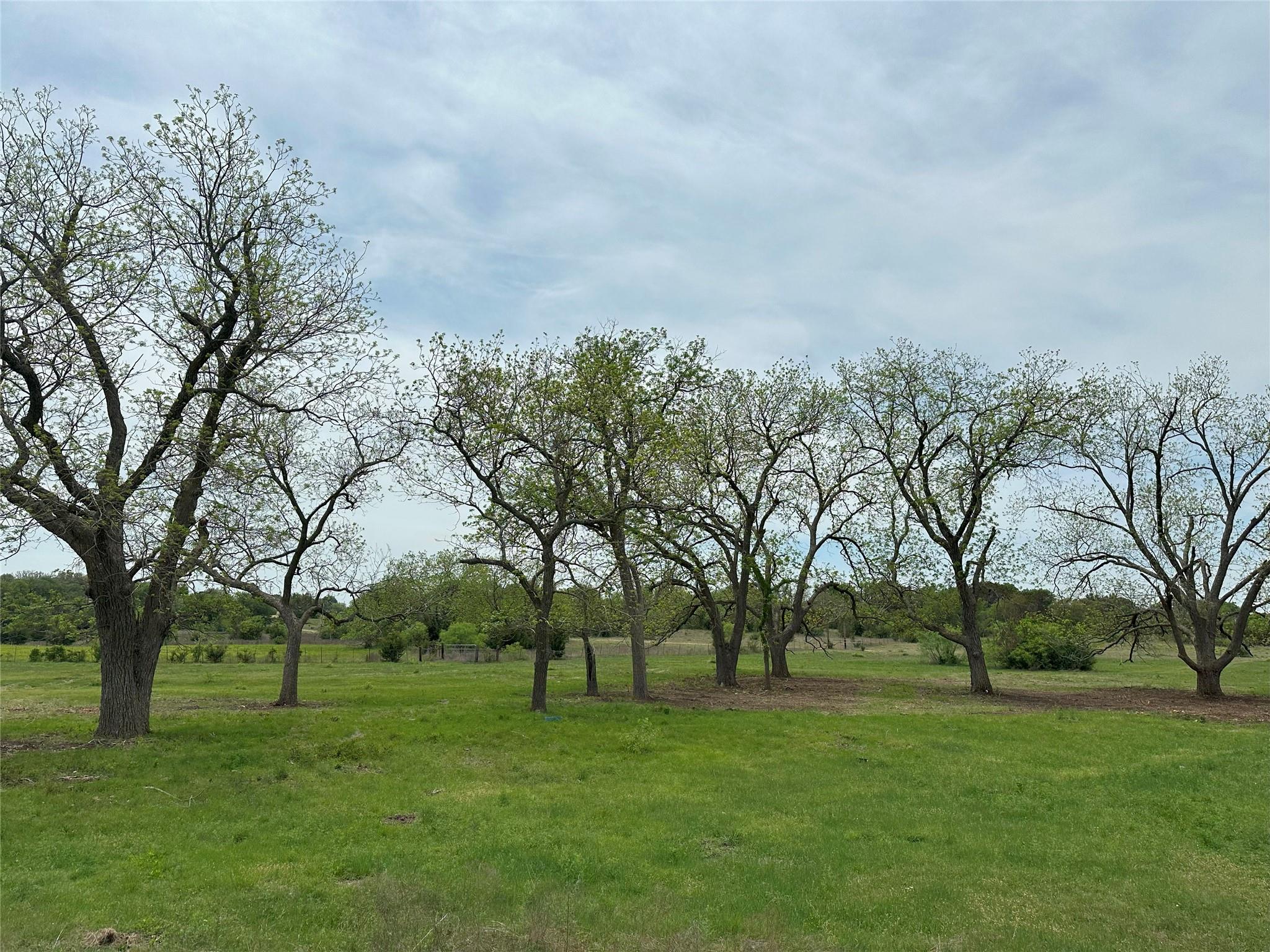 Tbd County Road 330 Bertram TX 78605