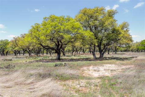 9695 W Us 290 Highway Hye TX 78635