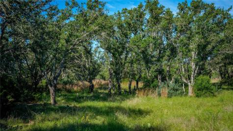 3276 Link Road Doss TX 78618