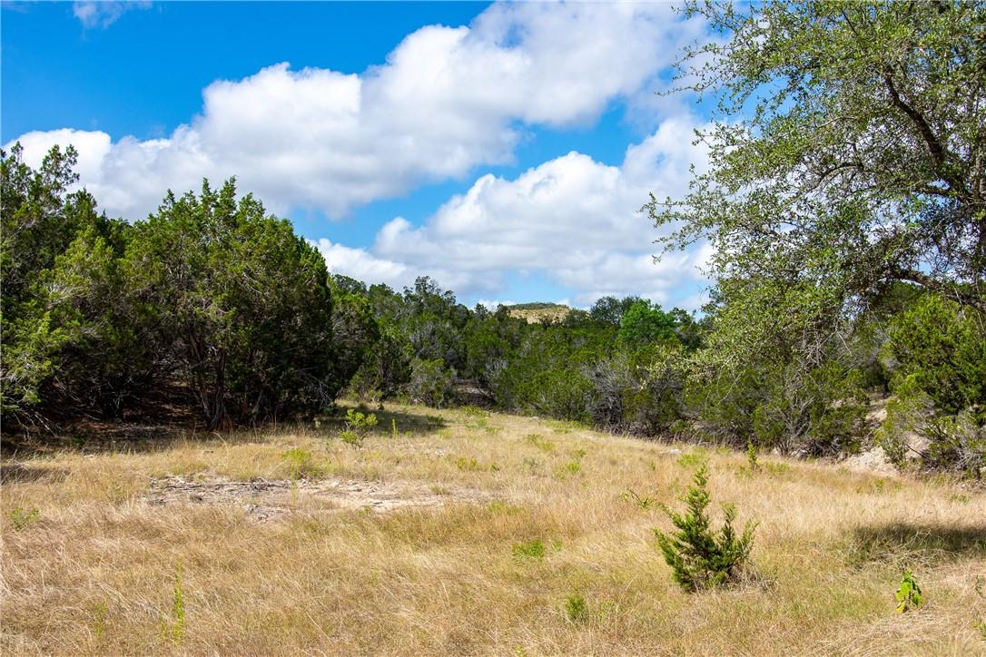 0 Monarch Ranch Road Blanco TX 78606