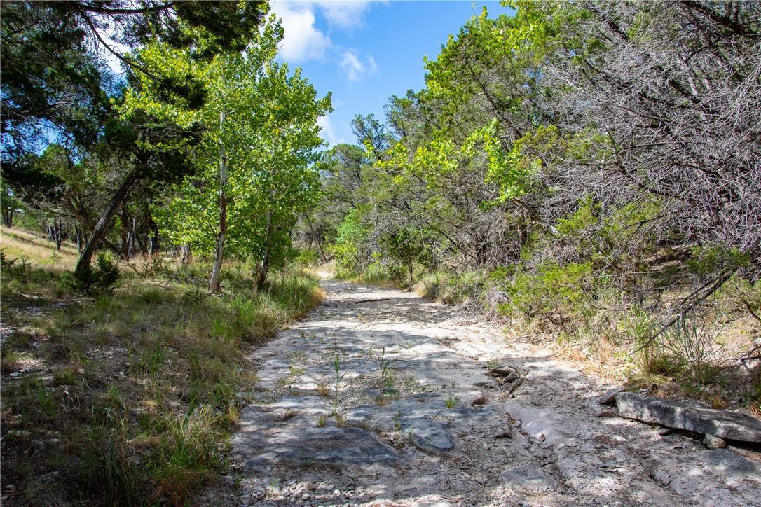 0 Monarch Ranch Road Blanco TX 78606