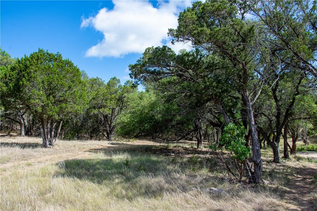 0 Monarch Ranch Road Blanco TX 78606