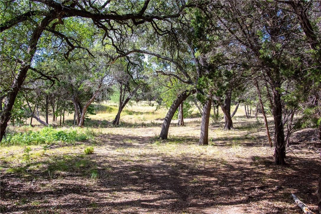 0 Monarch Ranch Road Blanco TX 78606