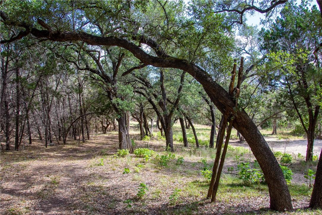 0 Monarch Ranch Road Blanco TX 78606