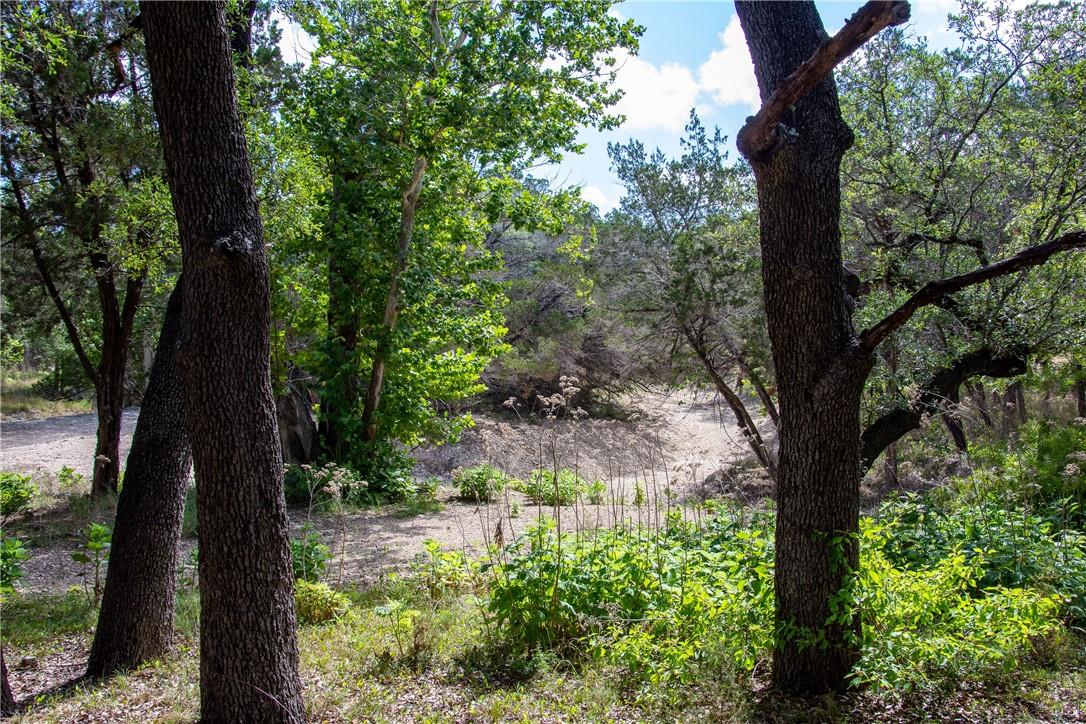 0 Monarch Ranch Road Blanco TX 78606
