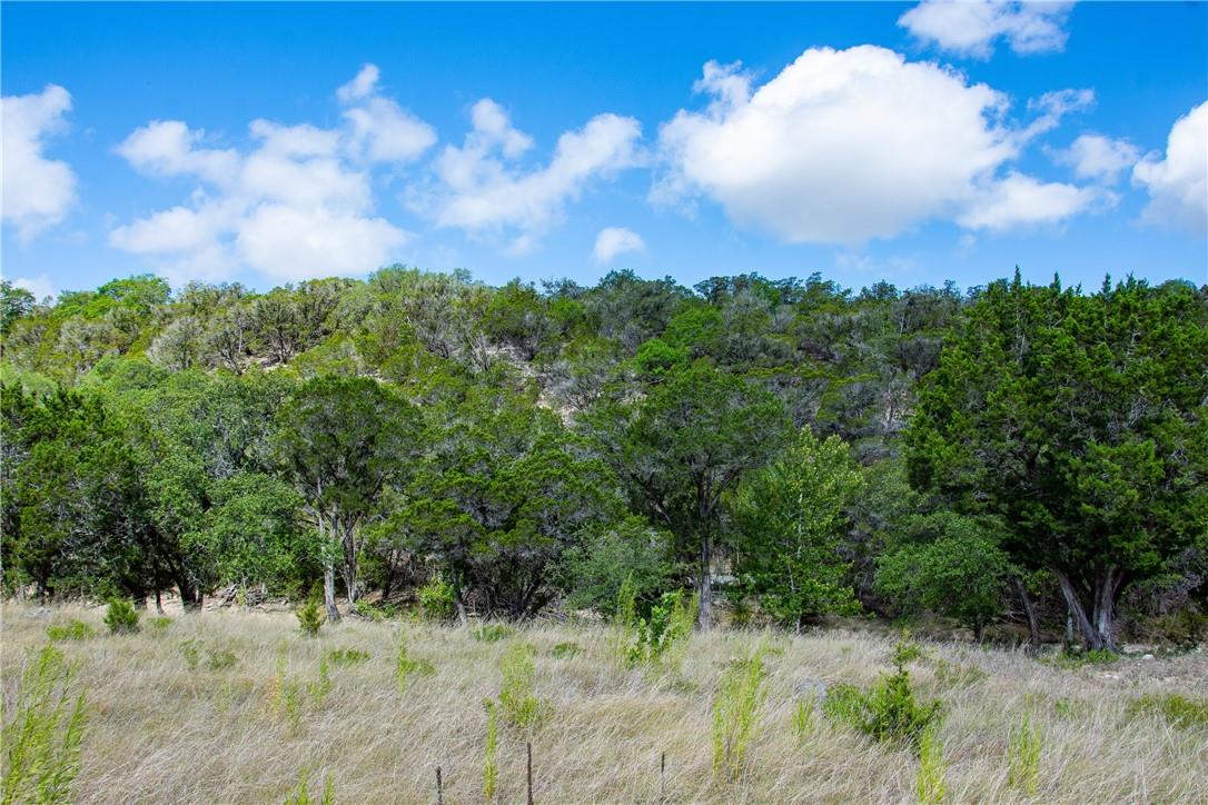 0 Monarch Ranch Road Blanco TX 78606