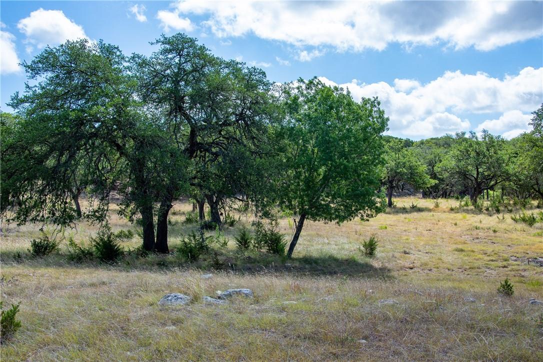 0 Monarch Ranch Road Blanco TX 78606