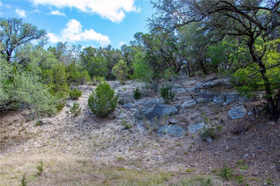 0 Monarch Ranch Road Blanco TX 78606