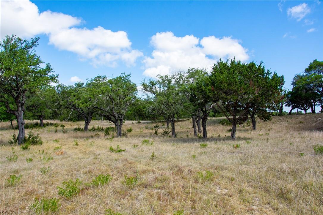 0 Monarch Ranch Road Blanco TX 78606