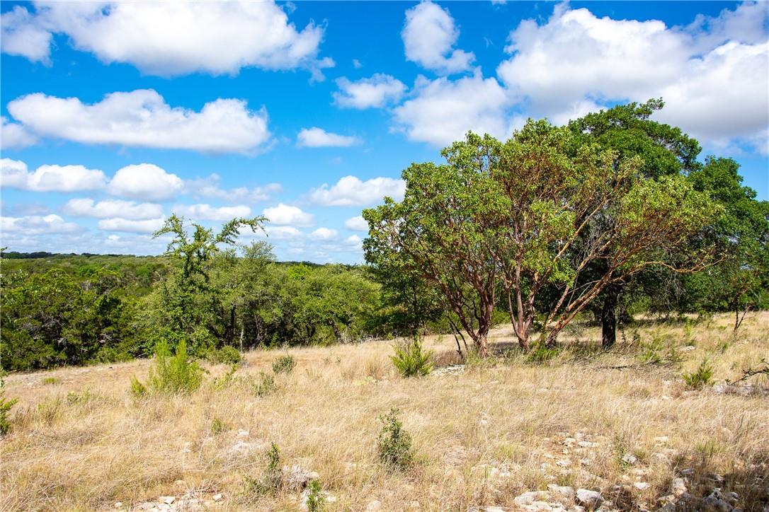 0 Monarch Ranch Road Blanco TX 78606