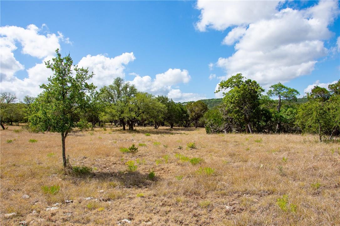 0 Monarch Ranch Road Blanco TX 78606