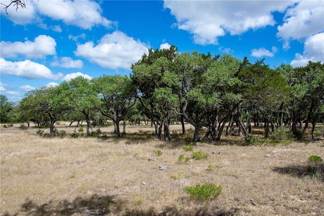0 Monarch Ranch Road Blanco TX 78606