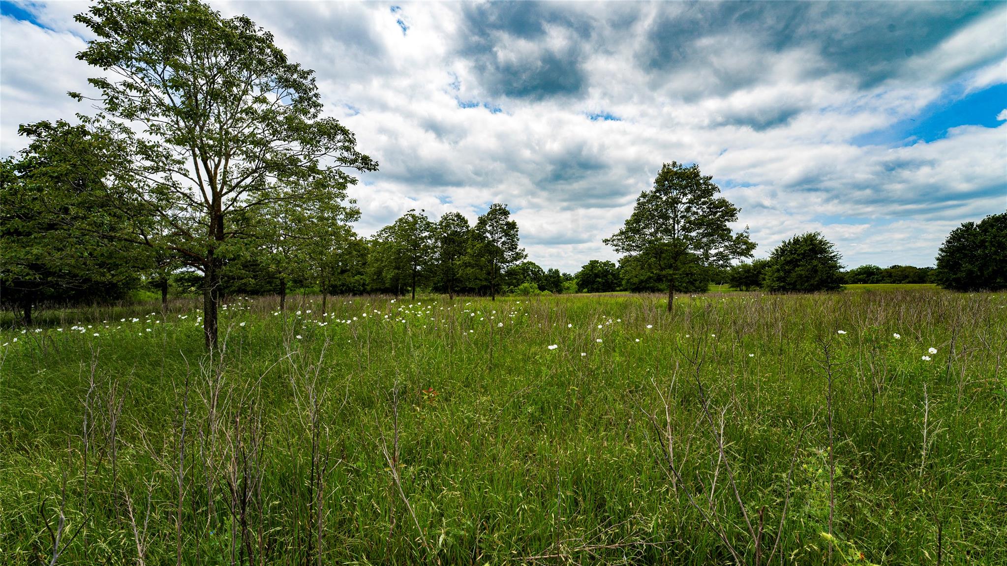 Esmt County Road 302 Rockdale TX 78947