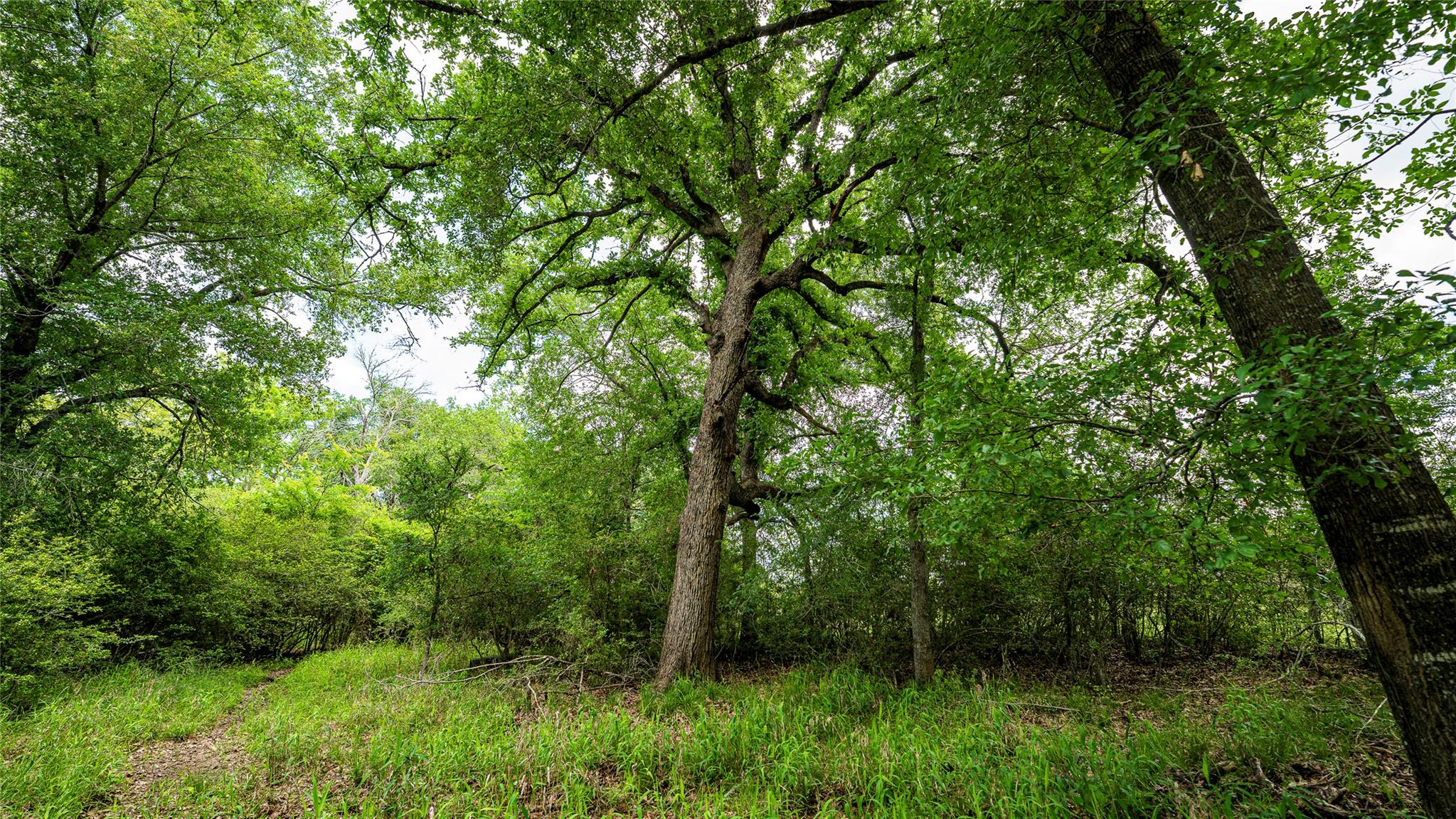 Esmt County Road 302 Rockdale TX 78947
