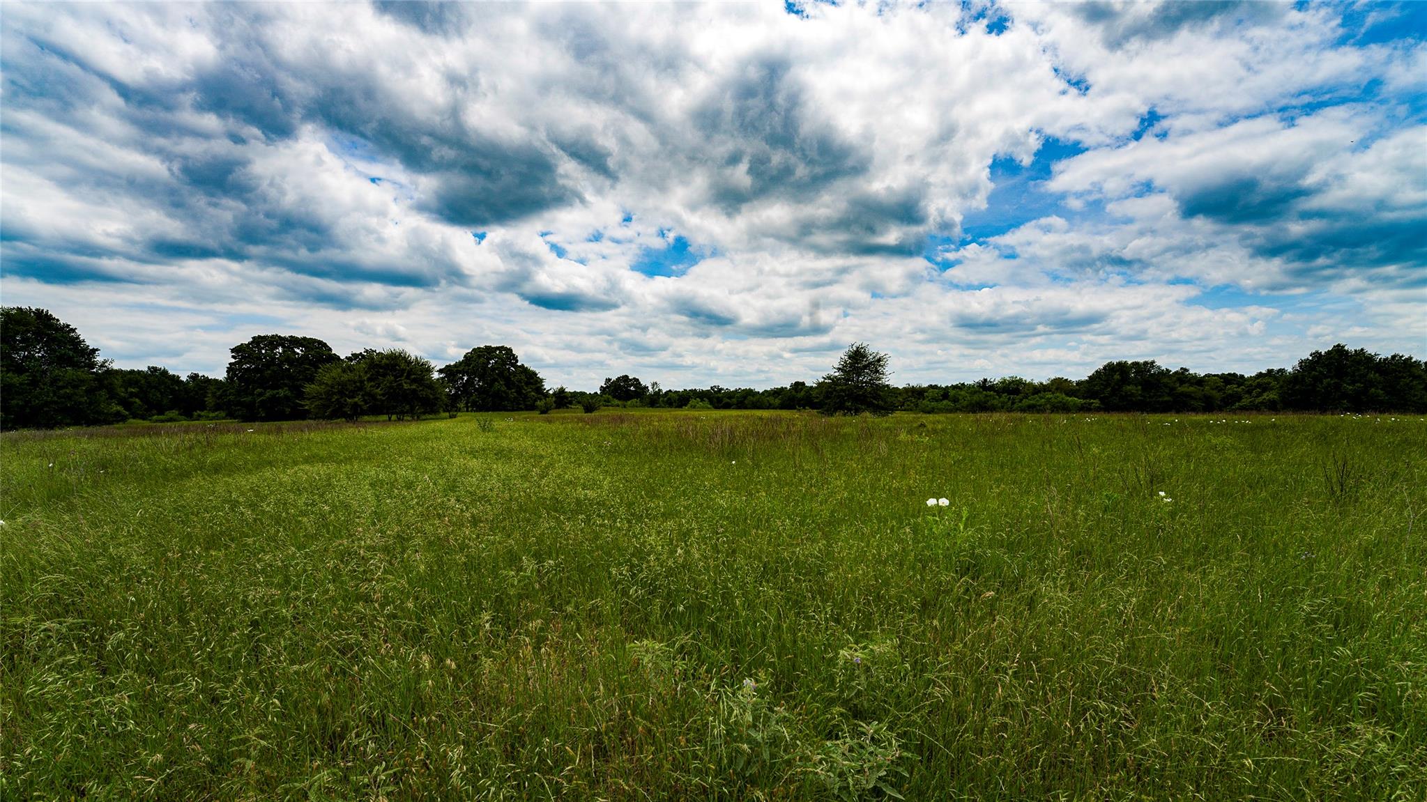 Esmt County Road 302 Rockdale TX 78947