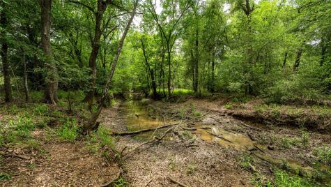 Esmt County Road 302 Rockdale TX 78947