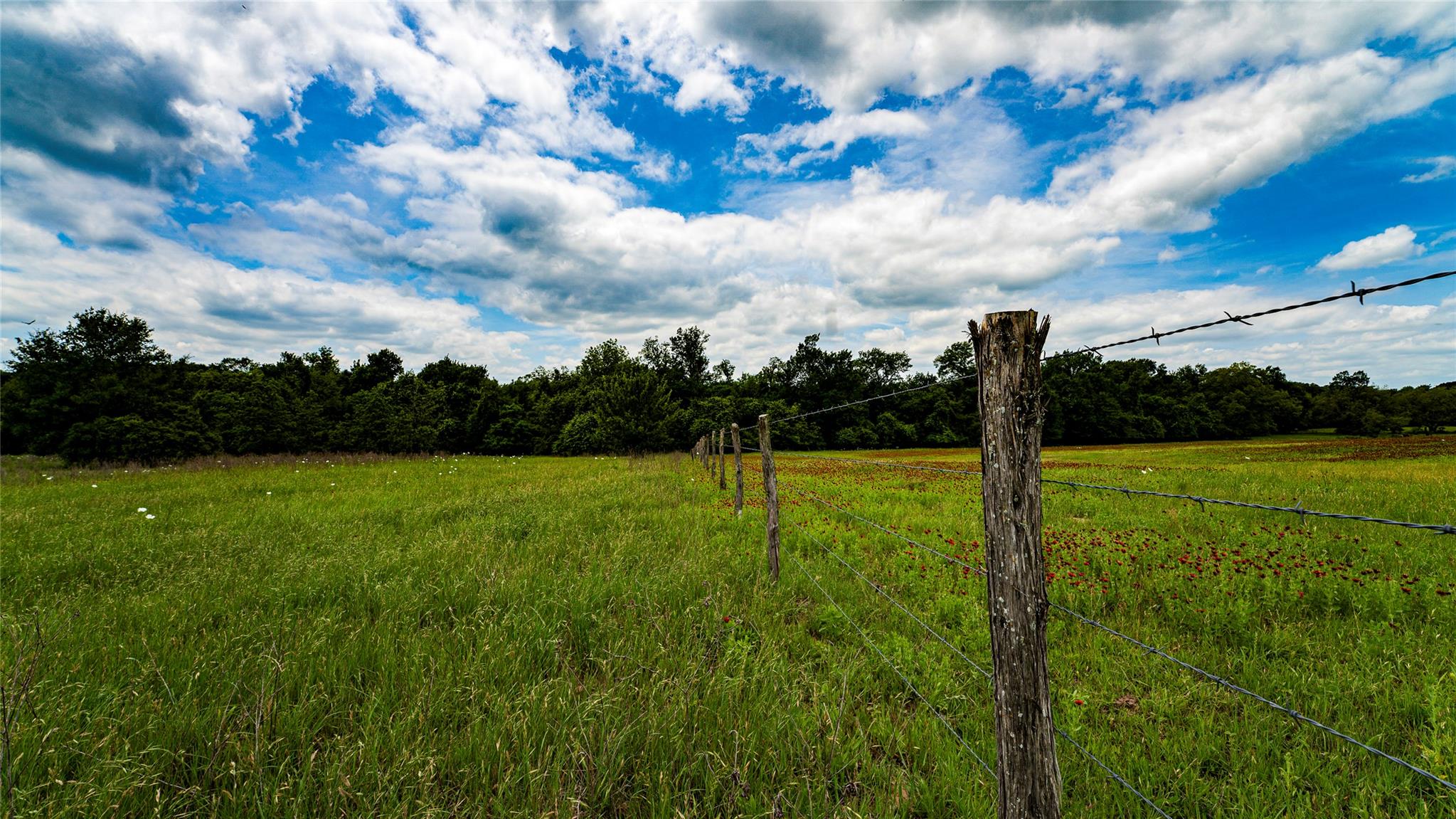 Esmt County Road 302 Rockdale TX 78947