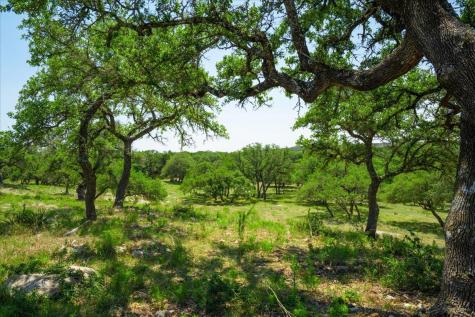 7890 Us 290 Highway Dripping Springs TX 78620