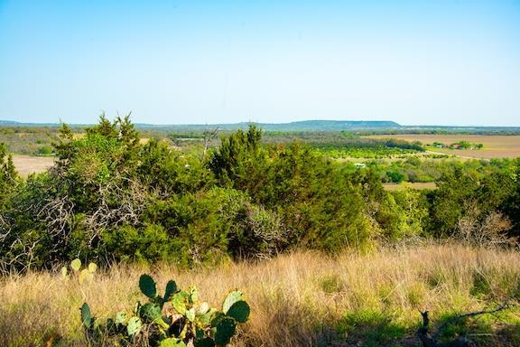 203 Rheingold School Road Fredericksburg TX 78624