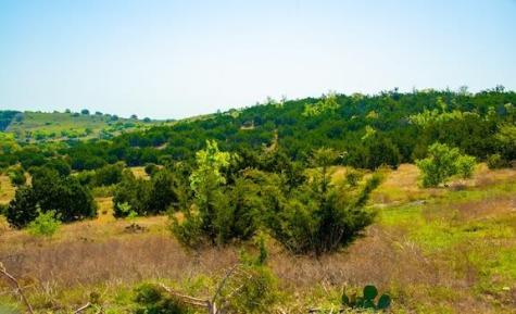 203 Rheingold School Road Fredericksburg TX 78624