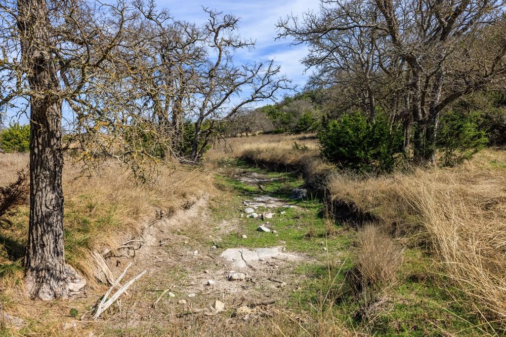 203 Rheingold School Road Fredericksburg TX 78624