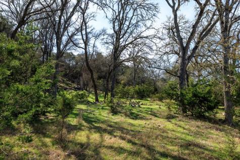 203 Rheingold School Road Fredericksburg TX 78624