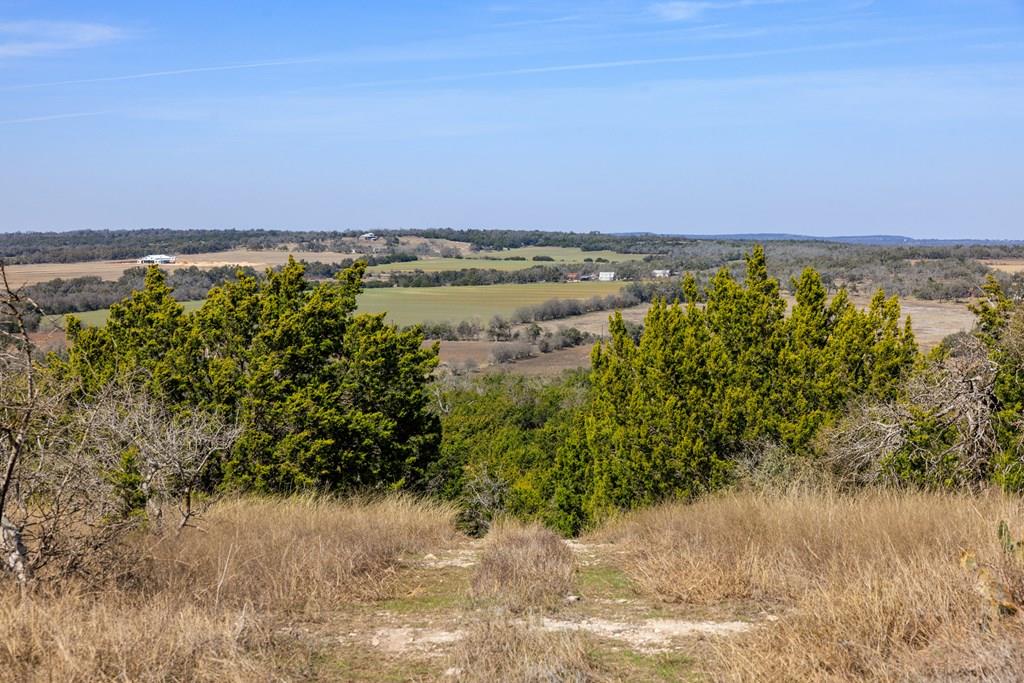 203 Rheingold School Road Fredericksburg TX 78624