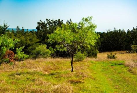 203 Rheingold School Road Fredericksburg TX 78624