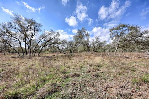 1178 Specklebelly Lane Columbus TX 78934