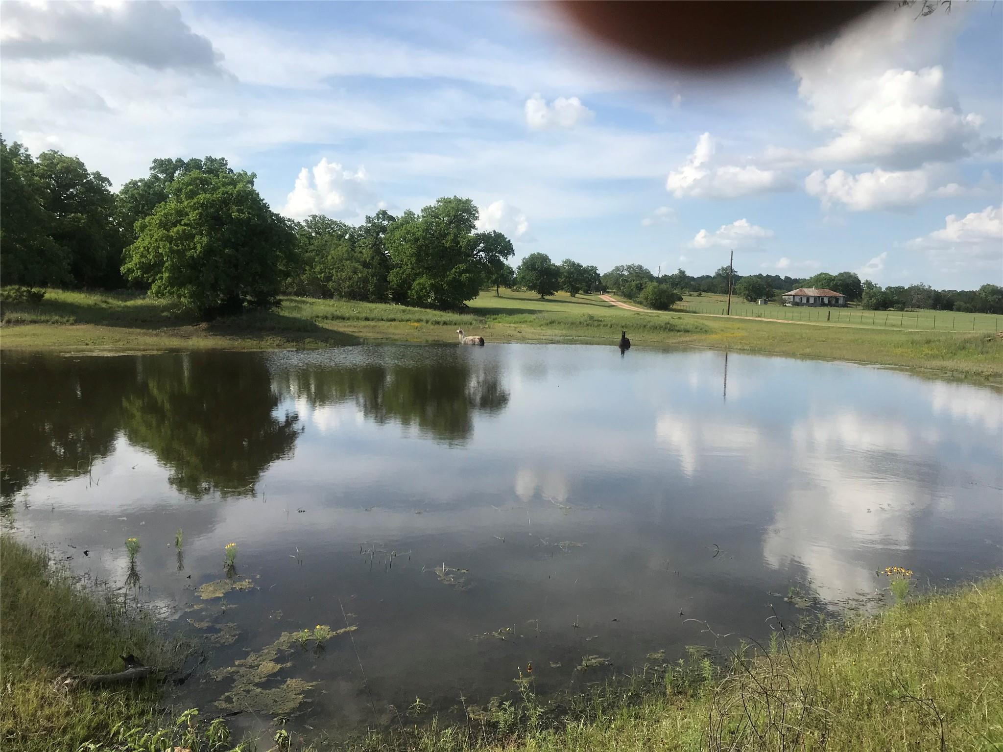 504 Sandy School Road Johnson City TX 78636