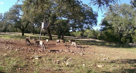 1595 Skyridge Road Lampasas TX 76550