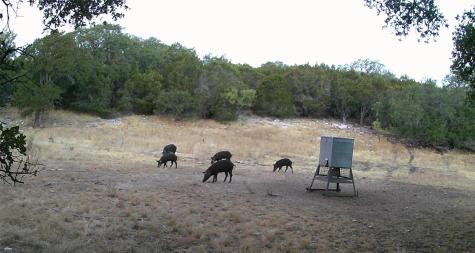 1595 Skyridge Road Lampasas TX 76550