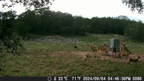 1595 Skyridge Road Lampasas TX 76550