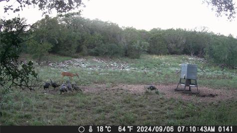 1595 Skyridge Road Lampasas TX 76550