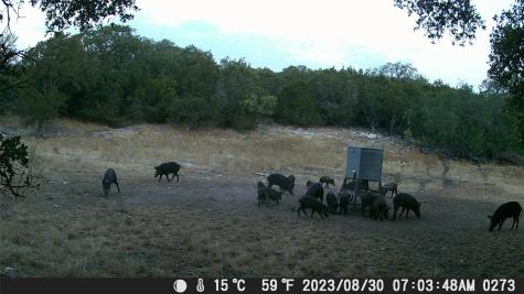 1595 Skyridge Road Lampasas TX 76550