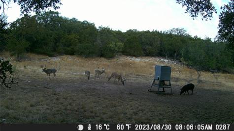1595 Skyridge Road Lampasas TX 76550