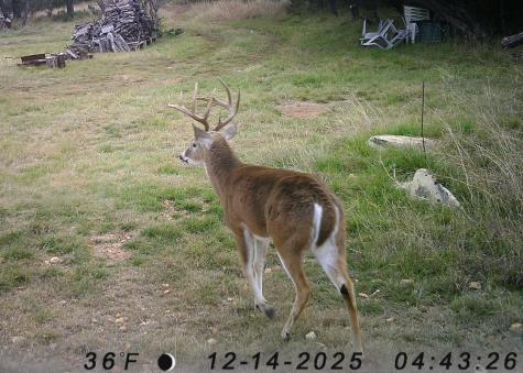 1595 Skyridge Road Lampasas TX 76550