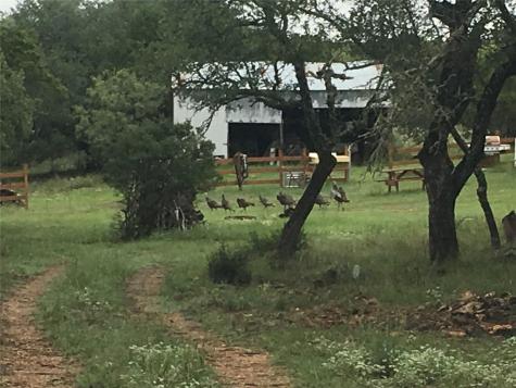1595 Skyridge Road Lampasas TX 76550