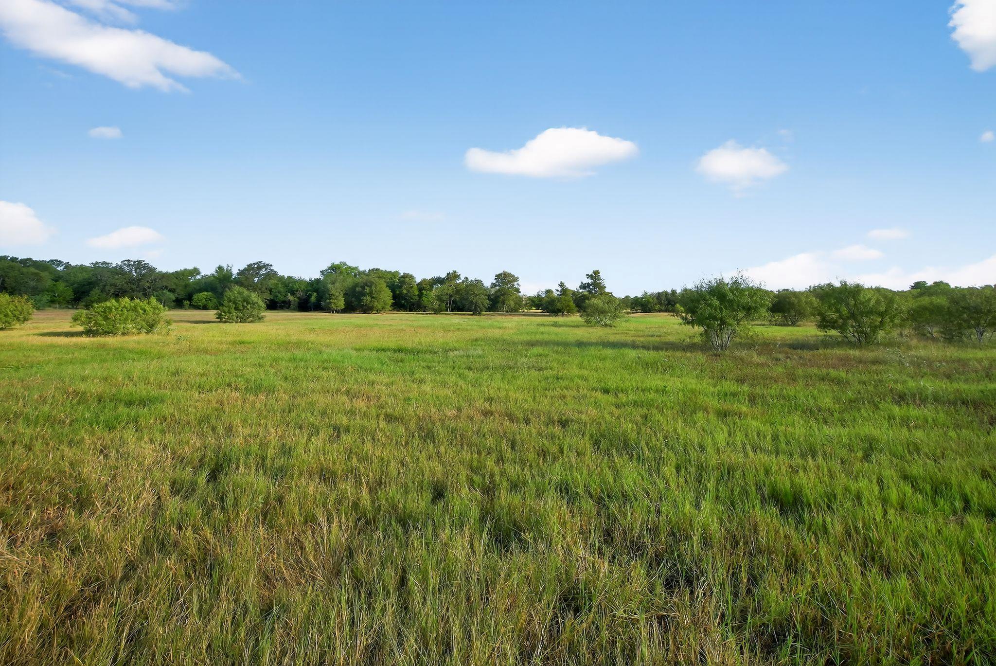 (TBD) 2959 Fm 20 Highway Red Rock TX 78662