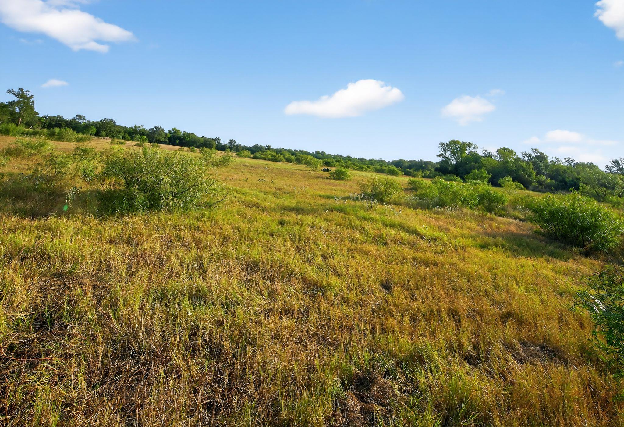 (TBD) 2959 Fm 20 Highway Red Rock TX 78662
