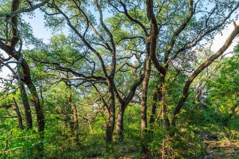 12175 N Us Highway 183 Florence TX 76527