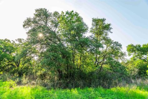 12175 N Us Highway 183 Florence TX 76527
