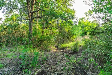 12175 N Us Highway 183 Florence TX 76527