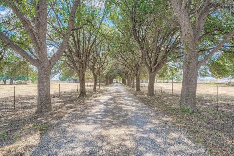 10026 Fm 1660 Hutto TX 78634