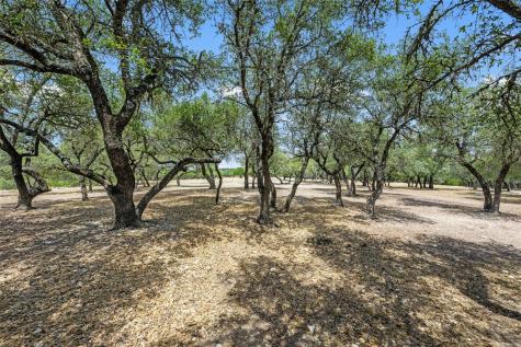 0000 South Oak Forest Drive Dripping Springs TX 78620