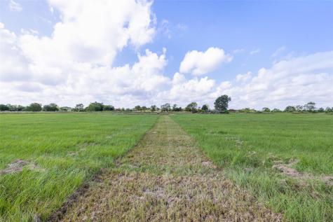 1713 Woody Lane Sealy TX 77474