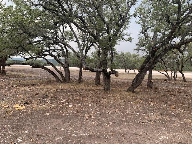 14 Seven Springs Drive Junction TX 76849