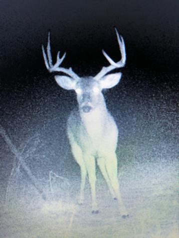 Tbd S Rocky Trail Lampasas TX 76550