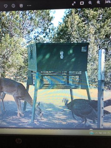 Tbd S Rocky Trail Lampasas TX 76550