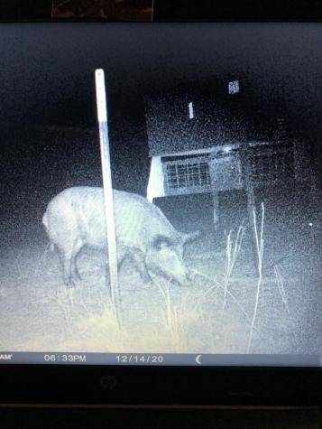 Tbd S Rocky Trail Lampasas TX 76550